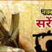 Chhattisgarh news: सुरक्षाबलों मिली बड़ी सफलता, 20 लाख के इनामी नक्सली कपल का आत्मसमर्पण