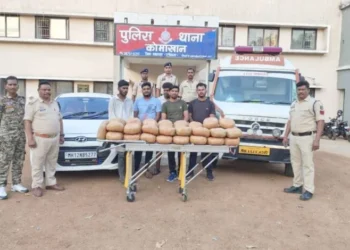 Chhattisgarh today news: छत्तीसगढ़ में एंबुलेंस से गांजा तस्करी, 50 लाख का गांजा के साथ 5 अंतरराज्यीय तस्कर गिरफ्तार
