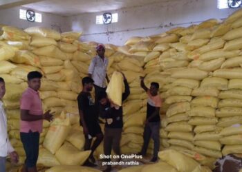 Raigarh News : किसानों के लिए खाद-बीज की भरपूर उपलब्धता, 24 हजार मीट्रिक टन उर्वरक का सुरक्षित भंडारण
