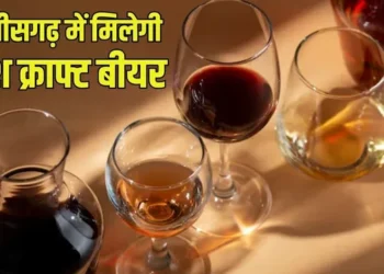 Chhattisgarh news: छत्तीसगढ़ में फ्रेश क्राफ्ट बीयर की बिक्री को मंजूरी, जानिए कैसे मिलेगा लायसेंस