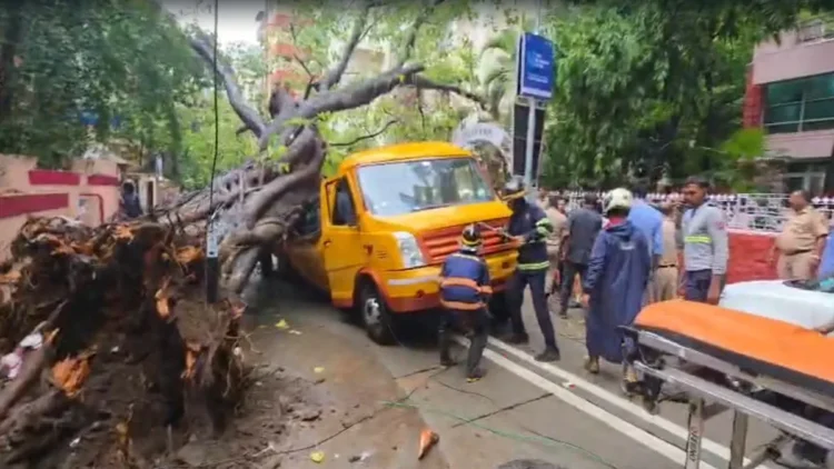 मुंबई के चेंबूर में स्कूल वैन पर गिरा बड़ा पेड़, 10 बच्चे थे सवार, एक छात्र की मौत-कई जख्मी