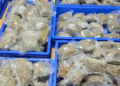 Drugs News: IGI एयरपोर्ट पर कस्टम्स की बड़ी कार्रवाई, ₹5.56 करोड़ का गांजा के साथ दो भारतीय गिरफ्तार