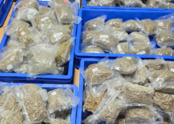 Drugs News: IGI एयरपोर्ट पर कस्टम्स की बड़ी कार्रवाई, ₹5.56 करोड़ का गांजा के साथ दो भारतीय गिरफ्तार