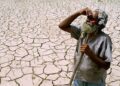 Chhattisgarh news: छत्तीसगढ़ में मंडराया El Nino का खतरा? किसानों को नुकसान से बचाने साय सरकार ने शुरू की तैयारी
