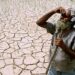 Chhattisgarh news: छत्तीसगढ़ में मंडराया El Nino का खतरा? किसानों को नुकसान से बचाने साय सरकार ने शुरू की तैयारी