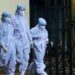 Nipah Virus: भारत के इस राज्य में निपाह वायरस का खतरा; नया मामला आने से स्‍वास्‍थ्‍य विभाग का अलर्ट जारी
