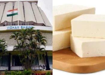 महाराष्ट्र में एनालॉग पनीर और चीज पर प्रतिबंध लगाने की उठी मांग, विधानसभा में हुई चर्चा; जानें किसने क्या कहा
