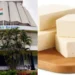 महाराष्ट्र में एनालॉग पनीर और चीज पर प्रतिबंध लगाने की उठी मांग, विधानसभा में हुई चर्चा; जानें किसने क्या कहा
