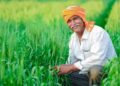 Chhattisgarh top news: छत्तीसगढ़ में खाद वितरण में टोकन व्यवस्था खत्म, अब एक बार में मिलेगी पूरी खाद