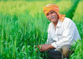 Chhattisgarh top news: छत्तीसगढ़ में खाद वितरण में टोकन व्यवस्था खत्म, अब एक बार में मिलेगी पूरी खाद