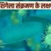 Shigella Alert: इस राज्य में फेल रहा है शिगेला संक्रमण का प्रकोप: बच्चों में बढ़ते मामले, अब तक इतने की मौत की पुष्टि