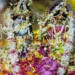 Nirjala Ekadashi 2026: निर्जला एकादशी पर रहेगा भद्रा का साया, जान लें स्नान-दान, पूजन का उत्तम मुहूर्त