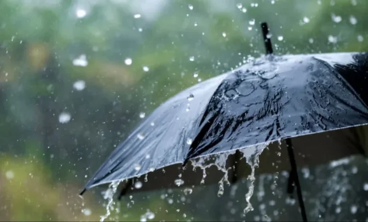 Weather update: छत्तीसगढ़ में दस्तक दे सकता है मानसून, इन राज्यों में हीटवेव का अलर्ट जारी