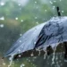 Weather update: छत्तीसगढ़ में दस्तक दे सकता है मानसून, इन राज्यों में हीटवेव का अलर्ट जारी