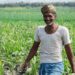 Chhattisgarh news: छत्तीसगढ़ के किसानों के लिए जरूरी खबर, 31 जुलाई तक कराएं फसल बीमा, धान समेत 7 फसलों पर योजना लागू