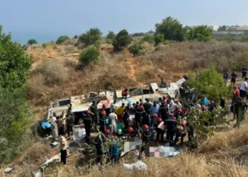 Algeria Bus Accident: भीषण सड़क हादशा; खाई में गिरी यात्रियों से भरी बस, 25 लोगों की दर्दनाक मौत