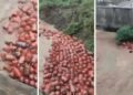 Raigad news: बाढ़ का कहर! भारी बारिश में बह गए 3000 गैस सिलेंडर, प्रशासन ने जारी किया अलर्ट