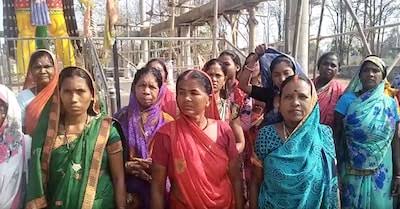Mahatari Vandan Tree Plantation: छत्तीसगढ़ में महिलाओं के लिए पहली बार शुरू हुआ खास अभियान, मिलेगा डिजिटल प्रमाण-पत्र