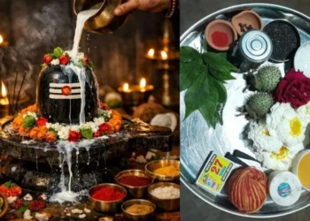 Somwar Upay: सोमवार को शिवजी को अर्पित करें ये चीजें, बरसेगी भोलेनाथ की कृपा, धन और सफलता के बनेंगे योग