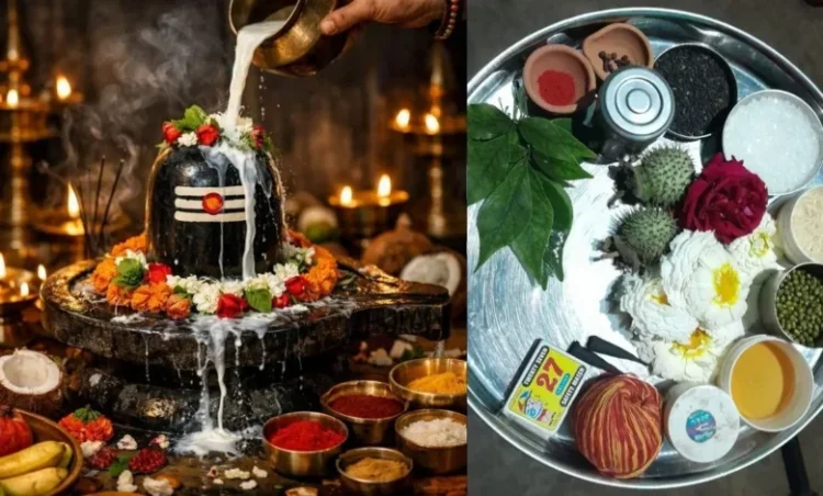 Somwar Upay: सोमवार को शिवजी को अर्पित करें ये चीजें, बरसेगी भोलेनाथ की कृपा, धन और सफलता के बनेंगे योग