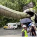 Sikkim Tunnel Collapse: टनल हादसे में अब तक 20 मजदूरों की मौत, अब भी कई लोग दबे होने की आशंका
