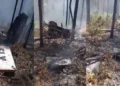 Bahamas Plane Crash: उड़ान भरते ही विमान क्रैश, आग का गोला बनी फ्लाइट, हादसे में सभी यात्रियों की मौत