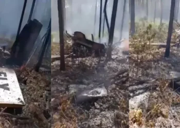 Bahamas Plane Crash: उड़ान भरते ही विमान क्रैश, आग का गोला बनी फ्लाइट, हादसे में सभी यात्रियों की मौत