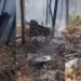 Bahamas Plane Crash: उड़ान भरते ही विमान क्रैश, आग का गोला बनी फ्लाइट, हादसे में सभी यात्रियों की मौत