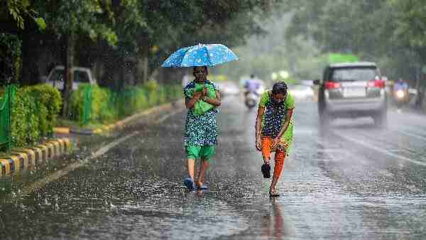Chhattisgarh news today: पूरे छत्तीसगढ़ में मानसून किया कवर, अगले एक सप्ताह तक झमाझम बारिश के आसार