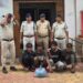 Chhattisgarh news: छत्तीसगढ़ पुलिस की बड़ी कार्रवाई; गांजा और नशीली दवा की सप्लाई करने वाले 7 तस्कर गिरफ्तार