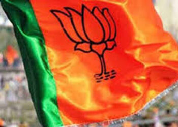 Nitin Nabin New Team: BJP नितिन नबीन की नई टीम का ऐलान, छत्तीसगढ़ की ये सांसद बनी भाजपा महिला मोर्चा की राष्ट्रीय अध्यक्ष