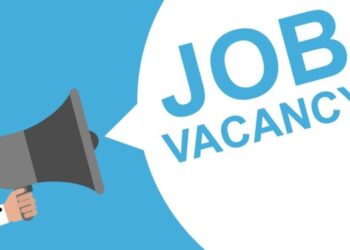 Bank of Baroda Vacancy 2026: Bank of Baroda में इतने पदों पर निकली बंपर भर्ती, जानिए कैसे करें आवेदन