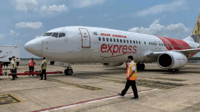 Air India Bird Hit: एअर इंडिया की फ्लाइट से पक्षी टकराया; रद्द करनी पड़ी फ्लाइट
