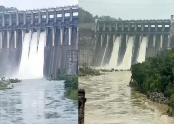 Chhattisgarh current news: कोरबा में बाढ़ का खतरा, बांगो बांध के 3 गेट खोले गए; 35 गांवों में बाढ़ का अलर्ट