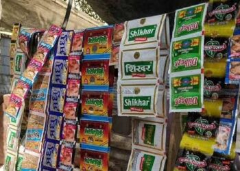 Pan Masala New Rule: पान मसाला खरीदने वालों के लिए जरूरी खबर, FSSAI ने बदले नियम; कीमतों पर पड़ेगा असर