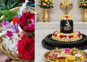 Sawan 2026: सावन में महादेव को अर्पित करें ये खास फूल, पूरी होंगी हर मनोकामनाएं और मिलेगा आशीर्वाद