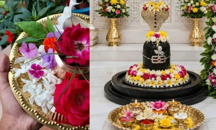 Sawan 2026: सावन में महादेव को अर्पित करें ये खास फूल, पूरी होंगी हर मनोकामनाएं और मिलेगा आशीर्वाद