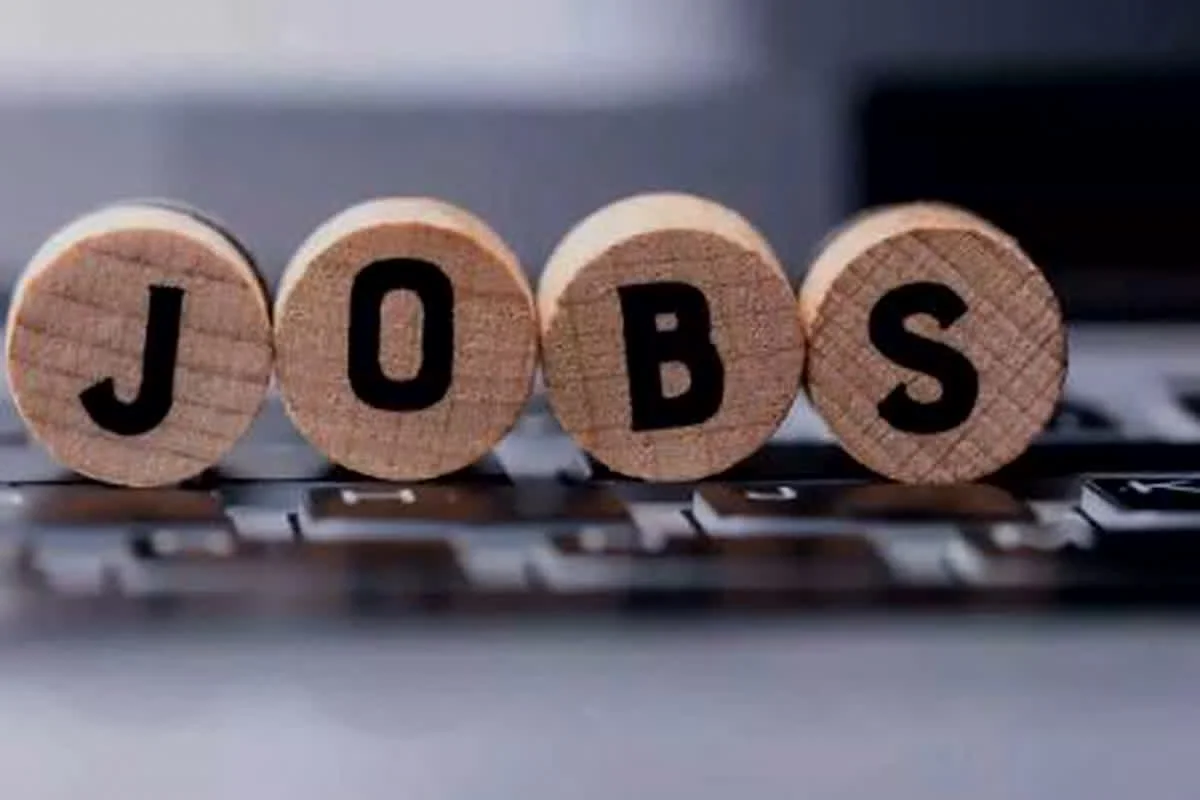 Mungeli Vacancy 2025: छत्तीसगढ़ में वन अधिकार प्रकोष्ठ के लिए निकली बंपर भर्ती, ऐसे करें आवेदन…